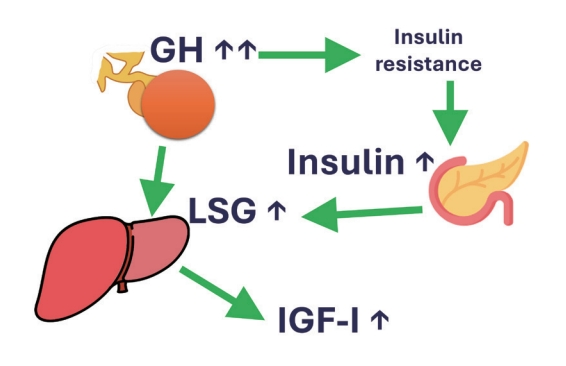 Fasting & Growth Hormone Explained (The Logical Way) 3ed280ab c39e 45b1 a9fa 9da137ab4889