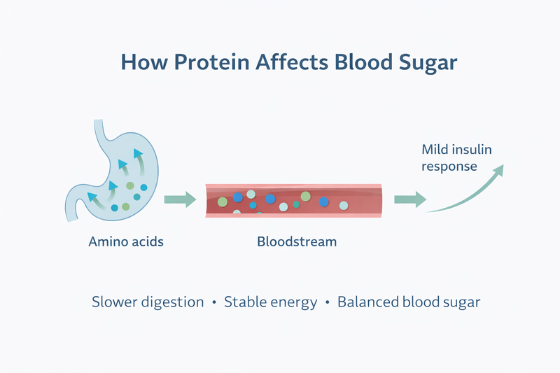 How Does Protein Affect Blood Sugar? chatgpt image feb 15, 2026, 04 10 42 pm (1)